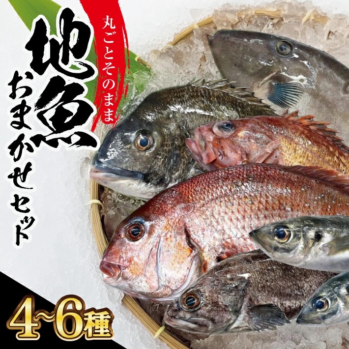 SB0523　地魚おまかせセット　計2kg以上(4～6種類入)