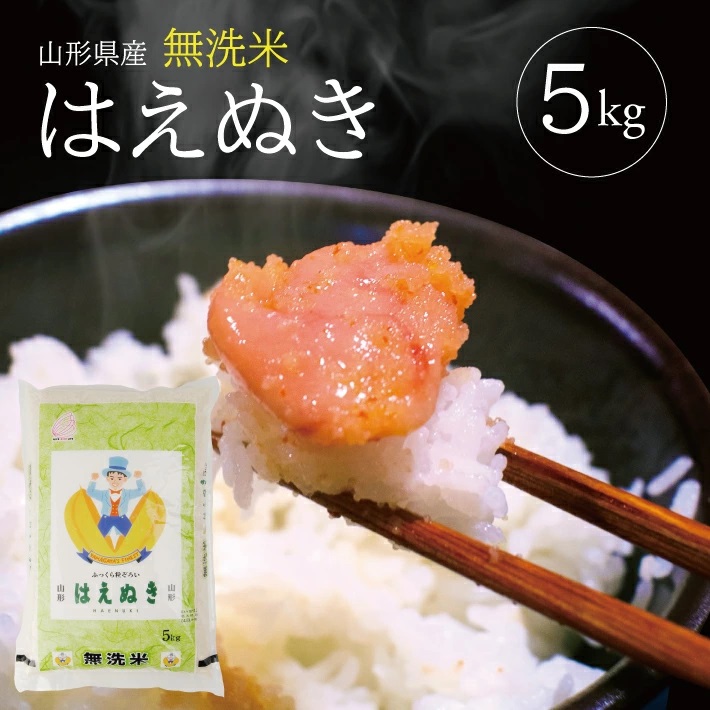 SA2838　令和7年産【無洗米】はえぬき　5kg×1袋 TO