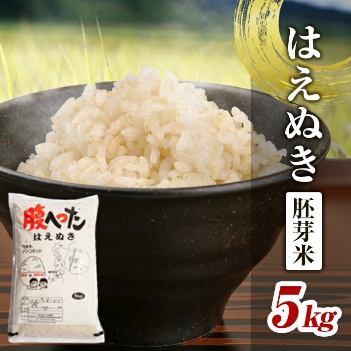SA2835　令和7年産 【胚芽米】 はえぬき 5kg×1袋 YA