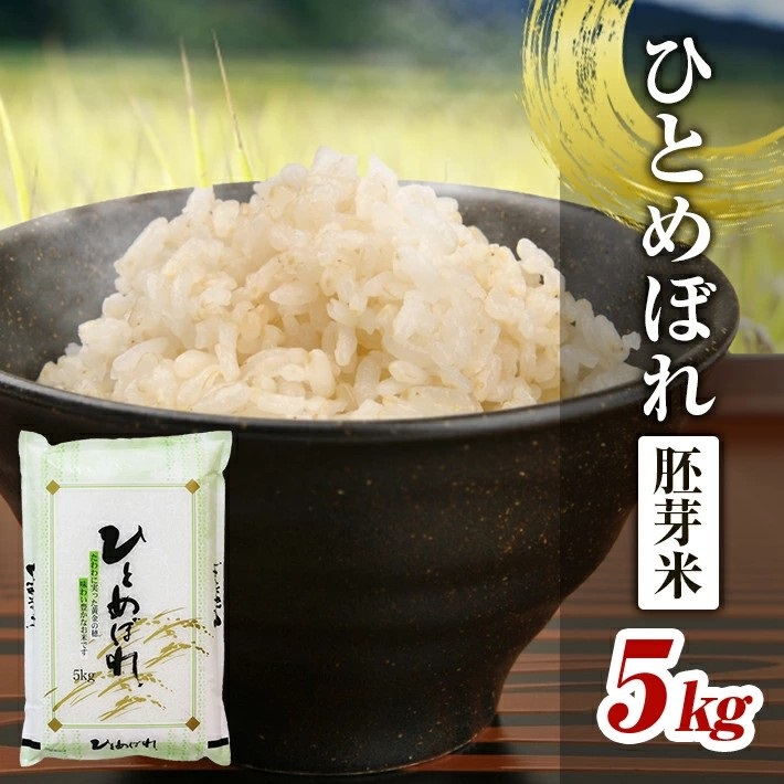 SA2837　令和7年産 【胚芽米】 ひとめぼれ 5kg×1袋 YA