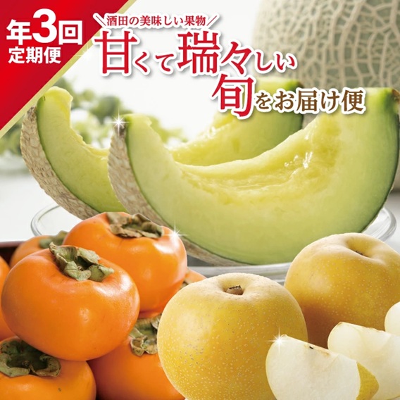 SE0486　【3回定期便】酒田の美味しい果物！甘くて瑞々しい旬をお届け便2026 (アールスメロン、刈屋梨、庄内柿)