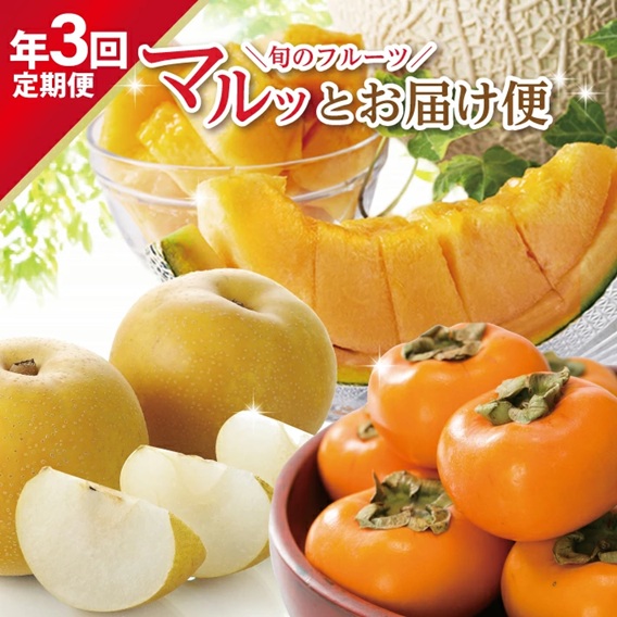 SE0490　【3回定期便】旬のフルーツ マルッとお届け便2026 (紅花メロン、刈屋梨、庄内柿)