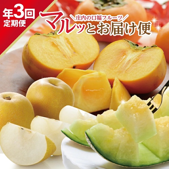 SE0491　【3回定期便】庄内の口福フルーツマルッとお届け便2026 (アンデスメロン、刈屋梨、庄内柿)