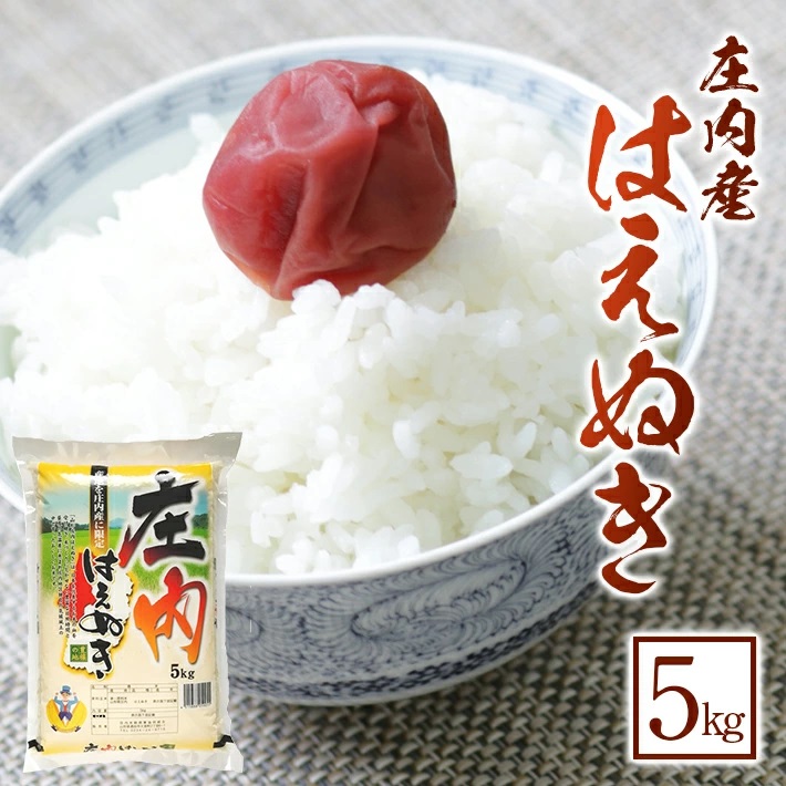 SB0826　令和7年産【精米】はえぬき　5kg×1袋 《農産物検査員おすすめの庄内米》 SY