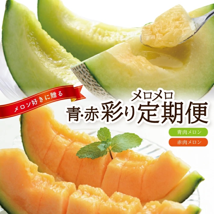SD0221　【2回定期便】メロン好きに贈る 青・赤 彩りメロメロ定期便2026