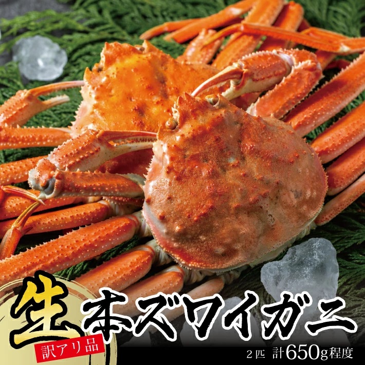 SB0765　【訳あり】春の生・本ズワイガニ 2匹(計650g程度)
