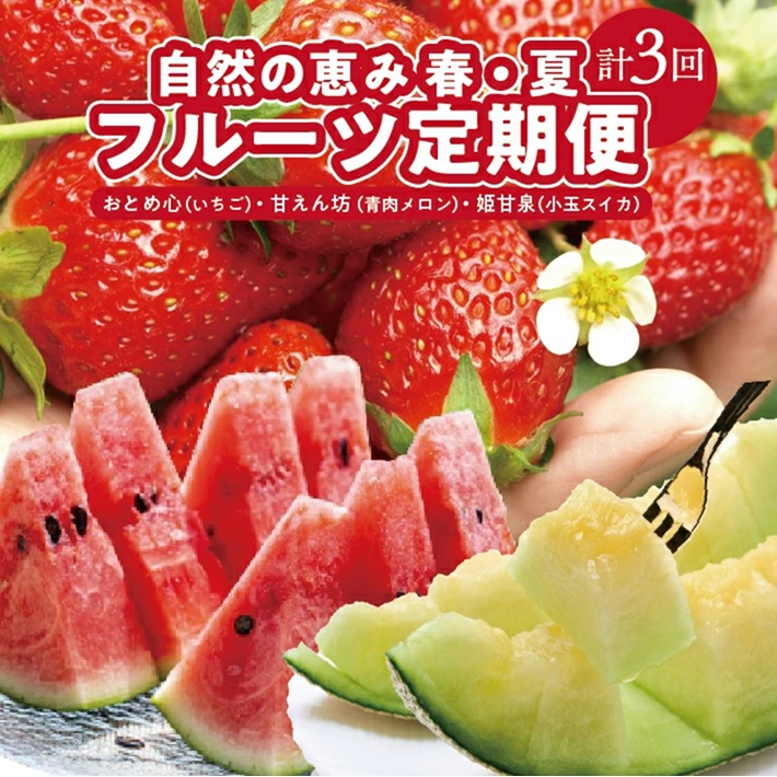 SE0504　【3回定期便】自然の恵み　春・夏フルーツ定期便2026(いちご、青肉メロン、小玉スイカ)