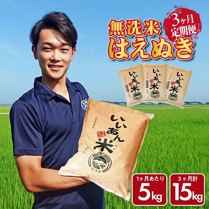 SF0334　【3回定期便】無洗米はえぬき　5kg×3回(計15kg)　農家直送『いいあん米』AG