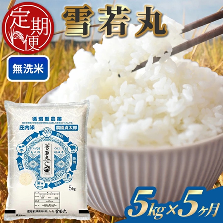 SM0054　【5回定期便】令和7年産 ［無洗米］雪若丸　5kg×5回(計25kg)