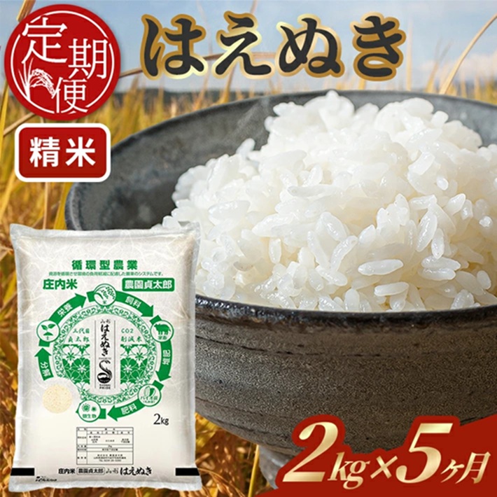 SE0501　【5回定期便】令和7年産 ［精米］はえぬき　2kg×5回(計10kg)