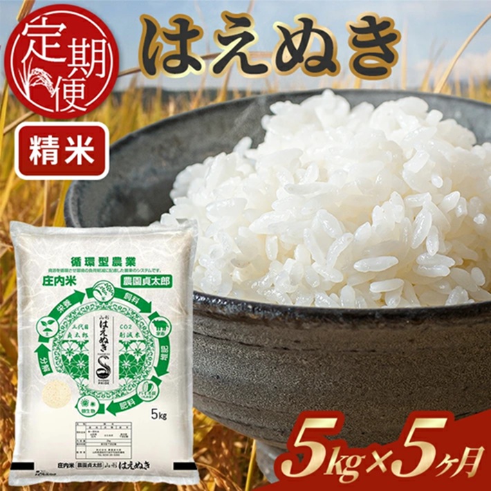 SJ0055　【5回定期便】令和7年産 ［精米］はえぬき　5kg×5回(計25kg)