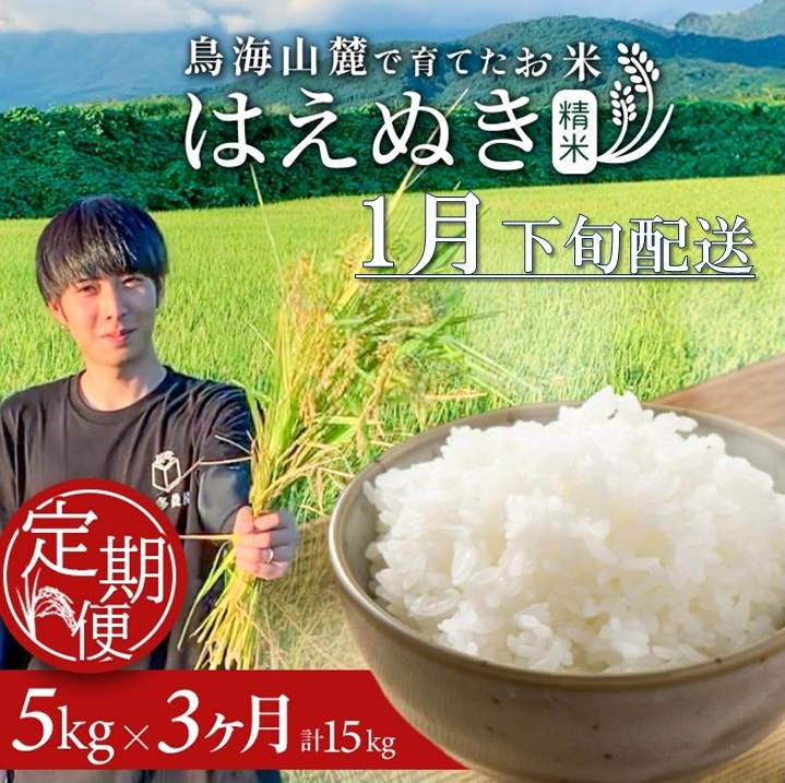 SF0323　1月下旬発送開始／【3回定期便】令和7年産 ［精米］はえぬき　5kg×3回(計15kg) 農家直送 HO