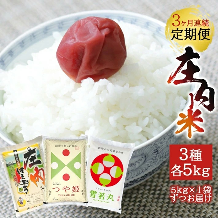 SF0327　【3回定期便】令和7年産［精米］庄内米3銘柄食べ比べ(はえぬき、雪若丸、つや姫)　5kg×3回(計15kg)《農産物検査員おすすめの庄内米》 SY