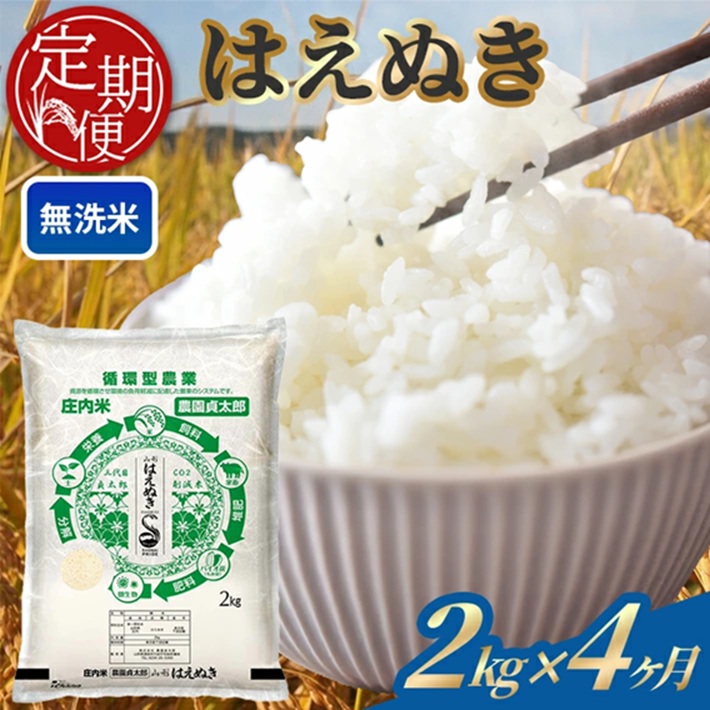 SE0500　【4回定期便】令和7年産 ［無洗米］はえぬき　2kg×4回(計8kg)