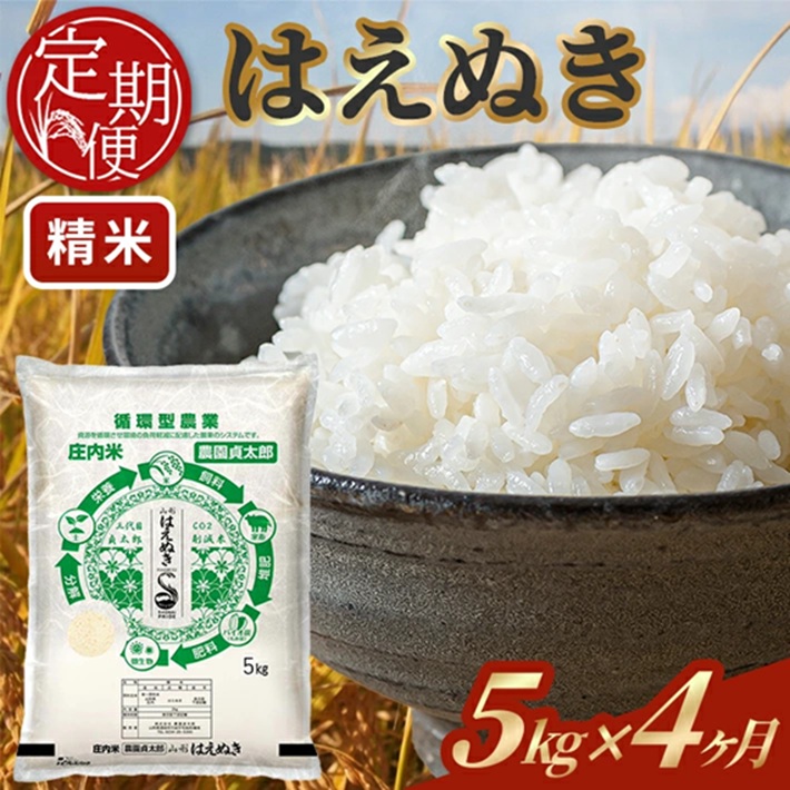 SI0057　【4回定期便】令和7年産 ［精米］はえぬき　5kg×4回(計20kg)
