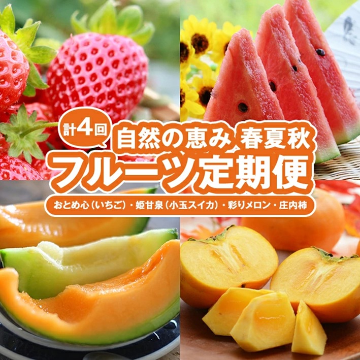 SE0506　【4回定期便】自然の恵み　季節のフルーツ定期便2026(3) (いちご、小玉スイカ、彩りメロン、柿)