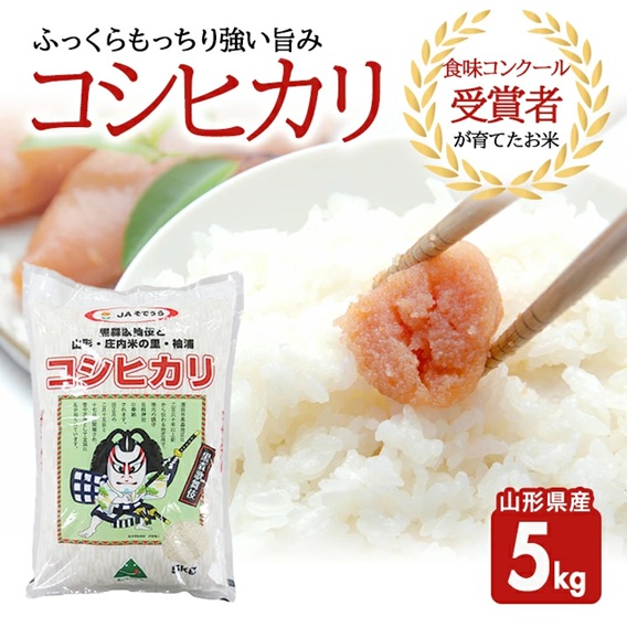 SA2814　令和7年産【精米】コシヒカリ　5kg(5kg×1袋) JS
