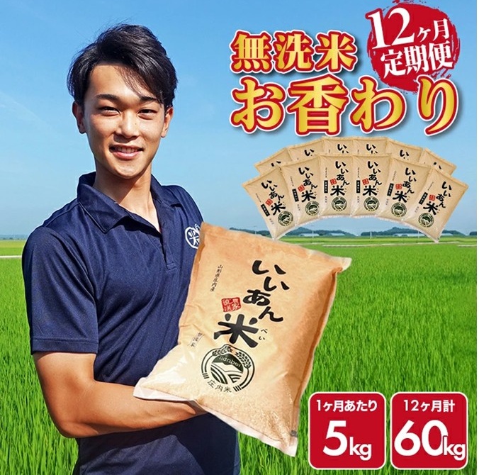 SS0005　≪12ヶ月定期便≫ 無洗米 お香わり（山形95号） 5kg×12ヶ月連続 計60kg 山形県庄内産 毎月中旬頃にお届け 米 お米 精米 白米 定期便 AG アグレスト