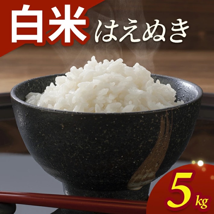 SA2846　令和7年産【白米】はえぬき　5kg(5kg×1袋) YA