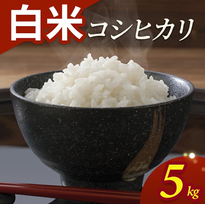 SA2844　令和7年産【白米】コシヒカリ　5kg(5kg×1袋) YA