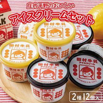 SA0895　庄内平野のおいしいアイスクリームセット　計12個(2種/各6個)【田村牛乳】