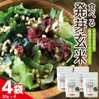 SZ0211　【ちっちゃな農家の大きな夢】 手軽に玄米を！ 食べる発芽玄米 30g×4袋