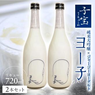SB0440　酒田の酒屋厳選　子宝リキュール ヨー子　720ml×2本