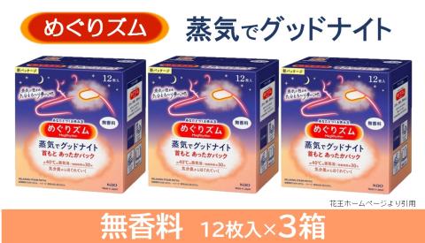 SA2204　めぐりズム 蒸気でグッドナイト　無香料　36枚(12枚入×3箱)