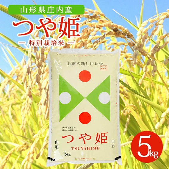 SB0781　令和7年産【精米】特別栽培米 つや姫　5kg×1袋  AK