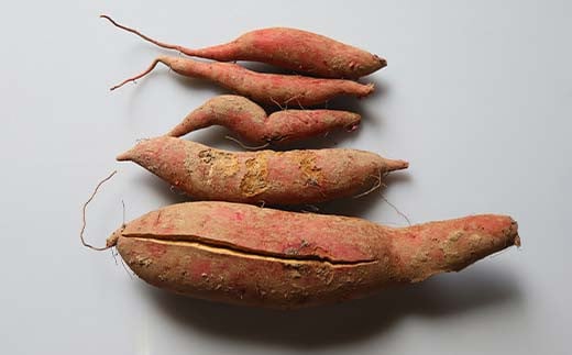 栽培期間中、農薬・化学肥料不使用 『訳あり ふくむらさき』5kg さつまいも サツマイモ 芋 F3S-1992