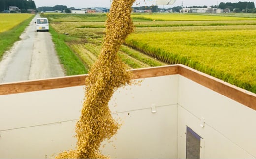 定期便 全6回 令和6年産 魅惑のはえぬき5kg 米 お米 おこめ 山形県 新庄市 F3S-2060