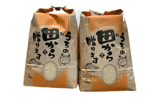定期便 【先行予約】令和6年産 至福のササニシキ（精米）10kg（5kg×2）×12回 米 お米 おこめ 山形県 新庄市 F3S-2158