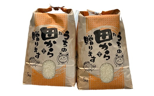 定期便 【先行予約】令和6年産 極みのササニシキ（精米）10kg（5kg×2）×12回 米 お米 おこめ 山形県 新庄市 F3S-2167