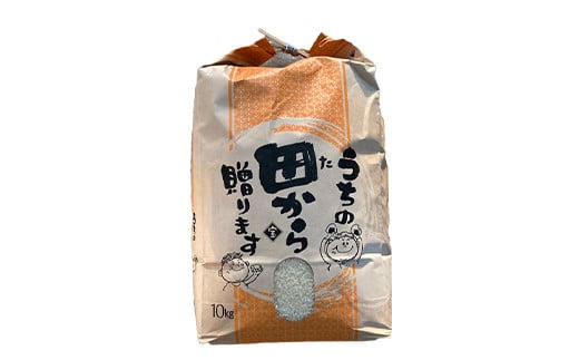 定期便 【先行予約】令和6年産 極みのササニシキ（精米）10kg×12回 米 お米 おこめ ふるさと納税 山形県 新庄市 F3S-2171