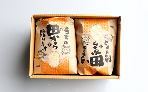 【先行予約】 令和6年産 漢方栽培 低温熟成乾燥 十四代目のササニシキ 10kg（5kg×2） 米 お米 おこめ 山形県 新庄市 F3S-2182