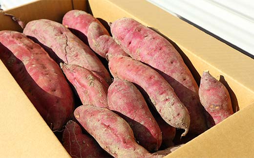 【先行予約】 自然栽培 紅あずま 1kg（3～5本） さつまいも サツマイモ 山形県 新庄市 F3S-2320