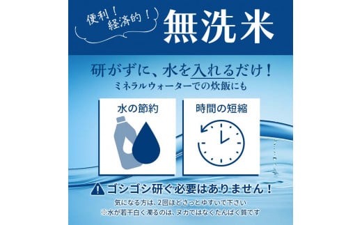 令和6年産 山形県産【はえぬき】無洗米 精米 10kg（5kg×2袋） 米 お米 おこめ 山形県 新庄市 F3S-2336