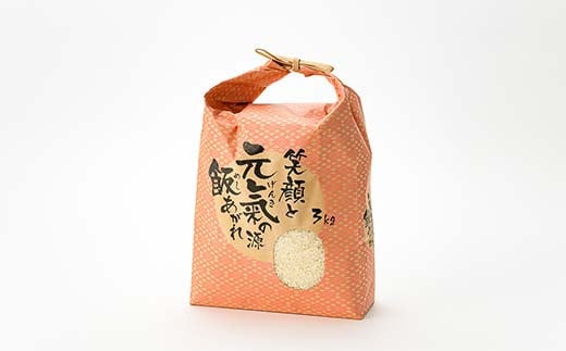 定期便 全3回 極みのはえぬき（精米）3kg 米 お米 おこめ ふるさと納税 山形県 新庄市 F3S-2390