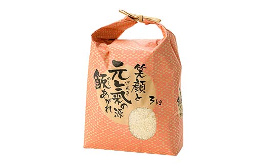 令和7年産 漢方栽培 低温熟成乾燥 十四代目のはえぬき（精米）3kg 米 お米 おこめ 山形県 新庄市 F3S-2407