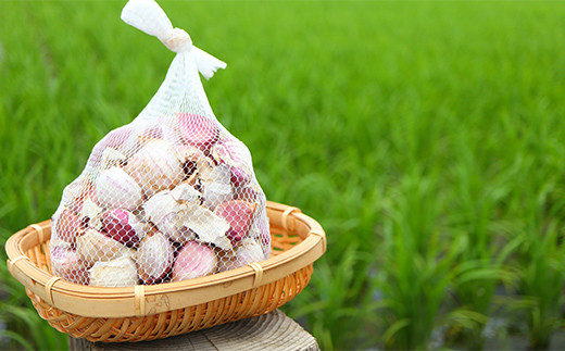 《2026年発送》 最上伝承野菜 【最上赤にんにく】 450g（バラ） にんにく ニンニク 薬味 ガーリック 野菜 F3S-2482