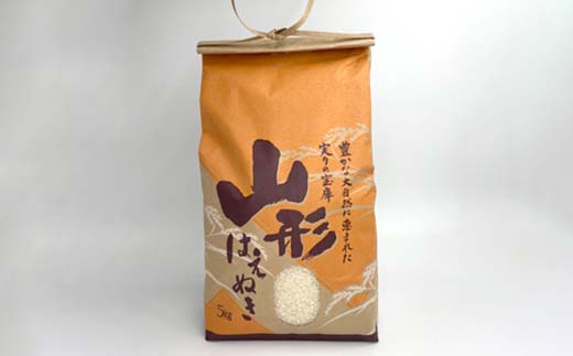 《先行予約》令和7年産 山形県産米 はえぬき 10kg（5kg×2） 精米 米 お米 おこめ 山形県 新庄市 F3S-2505