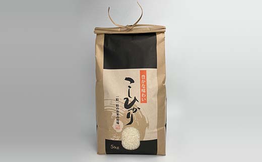 《先行予約》令和7年産 山形県産米 コシヒカリ 5kg こしひかり 精米 米 お米 おこめ 山形県 新庄市 F3S-2508