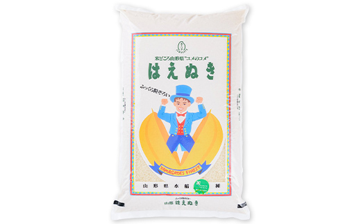 【令和7年産】 【数量限定】お米マイスターおすすめ 新庄産「はえぬき」（精米）10kg F3S-2664