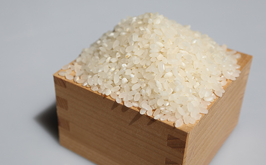 【令和7年産】 黒澤のササニシキ 10kg 米 お米 おこめ 山形県 新庄市 F3S-2673