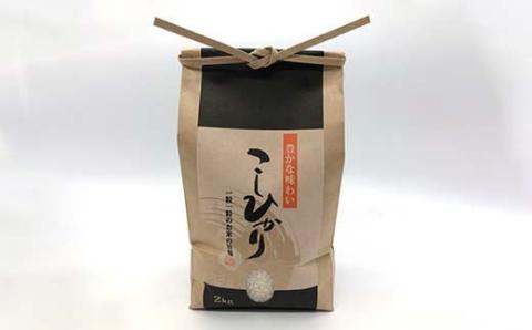 《先行予約》山形県産米 コシヒカリ 2kg こしひかり 精米 米 お米 おこめ 山形県 新庄市 F3S-1721