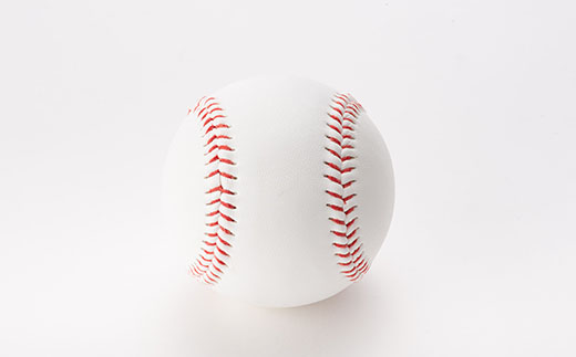 硬式野球ボール半ダースセット ふるさと納税 山形県 新庄市 F3S-0303