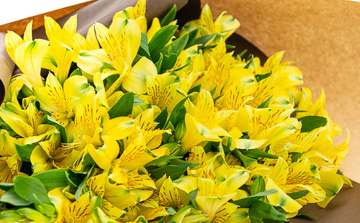 アルストロメリア（花束） 10本程度 山形県 新庄市 F3S-0321