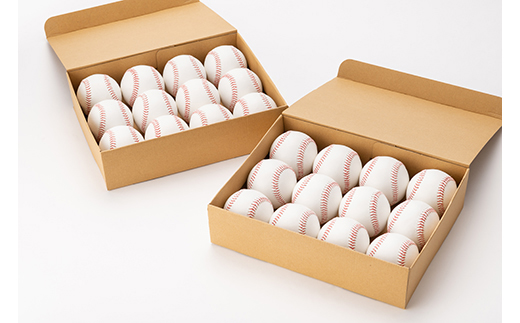 全天候型コードレ（合皮）硬式野球ボール2ダースセット F3S-0835