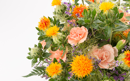 【全6回 定期便】 2ケ月に1回お届け 新庄フラワーギフト F3S-0888