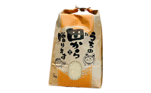 令和5年 『定期便』極みのササニシキ（精米）5kg 全6回 米 お米 おこめ ふるさと納税 山形県 新庄市 F3S-1657